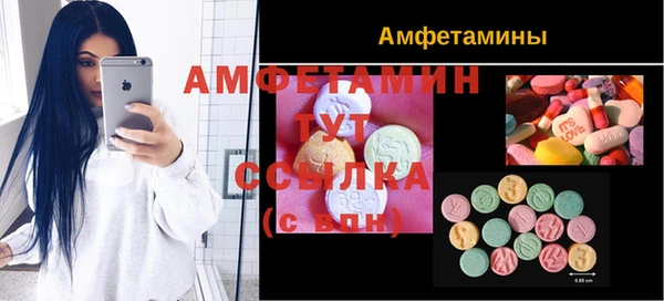 ГАЛЛЮЦИНОГЕННЫЕ ГРИБЫ Богданович