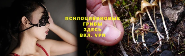 герыч Бугульма
