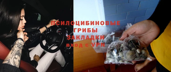 бошки Богородск
