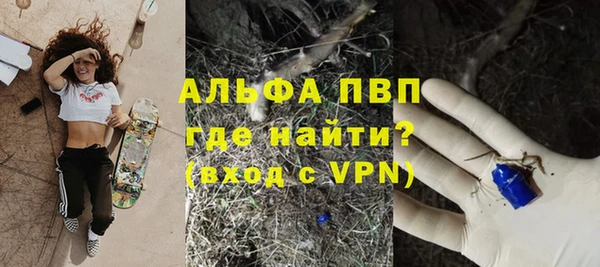 ГАЛЛЮЦИНОГЕННЫЕ ГРИБЫ Богданович