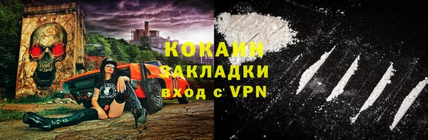 шишки Белокуриха