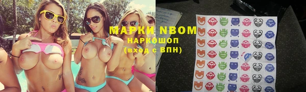 ГАЛЛЮЦИНОГЕННЫЕ ГРИБЫ Богданович