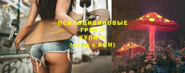 бошки Богородск