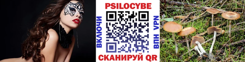Купить закладки  Малая Вишера  Псилоцибиновые грибы Psilocybine cubensis 